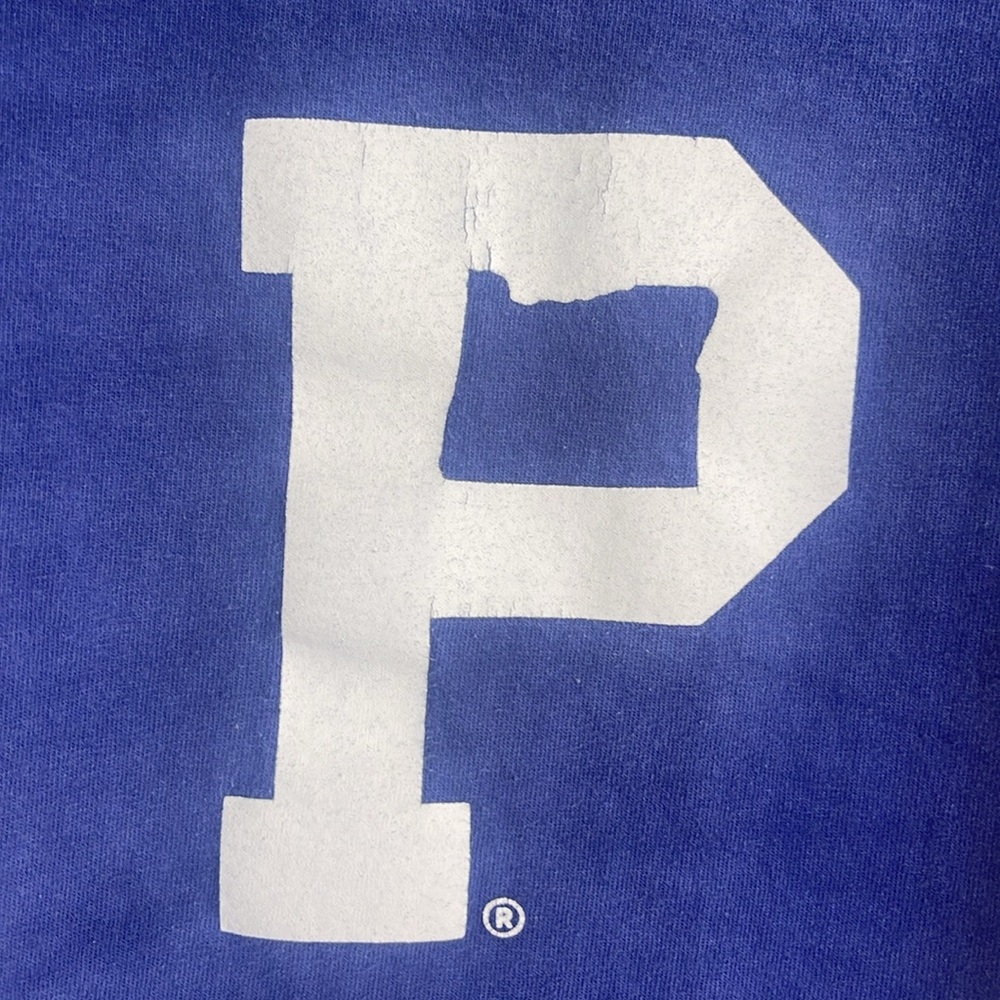 Portland Gear tie dye t-shirt L - Picture 2 of 6